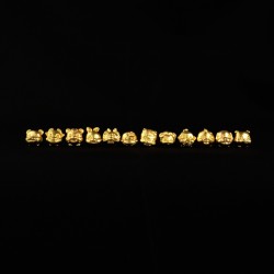 十二生肖吉祥珠 Zodiac Auspicious beads