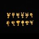 十二生肖开运珠 Zodiac Fortune beads