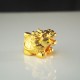 小金龙龟 Small Golden Dragon Turtle